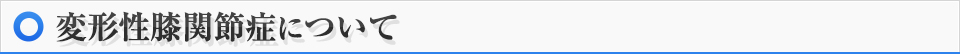 変形性膝関節症について
